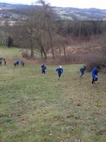 Gallery_23701013